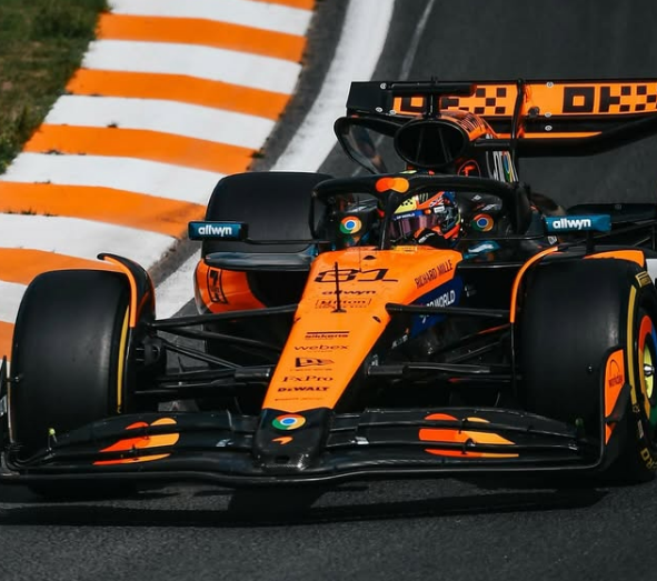 The Internal Battle of McLaren Remains